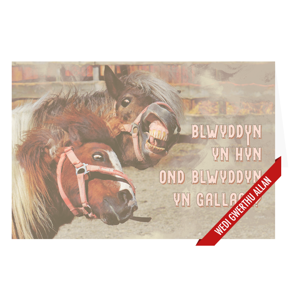 Carden Pen-blwydd Gwallgof